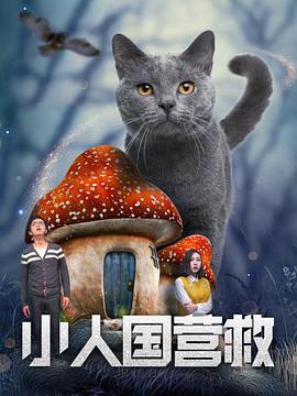 《三心两意》曝终极预告 林依晨治愈告白张艺凡 2026-04-28 《三心两意》发布终极预告，电影由吴洋执导，林依晨、张艺凡领衔主演，孙艺洲特别主演，保剑锋、范湉湉联合主演，曹翠芬、小鹿、杨雨光、鑫仔、戚玉武友情出演，5月1日全国上映。